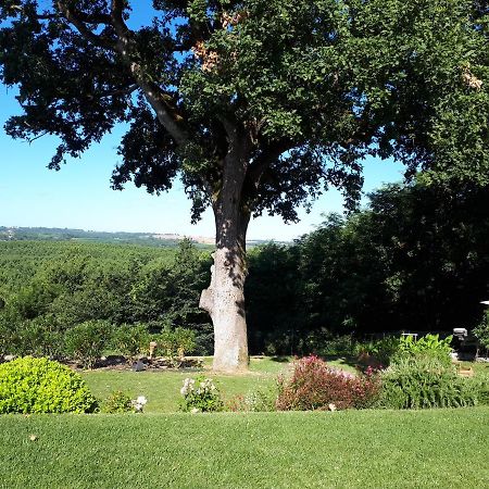 Bed and Breakfast La Chenaie Sainte-Marthe  Exterior foto